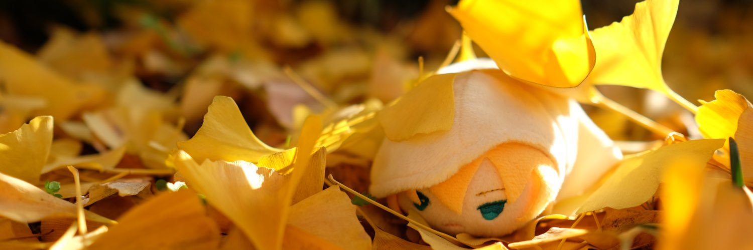 tentensocho's profile banner image