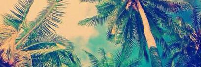 DeditsDeManteca's profile banner image