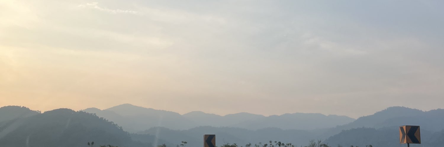 malizss's profile banner image