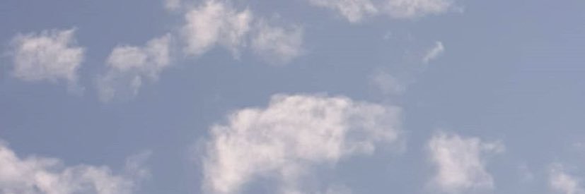 🐱 banner