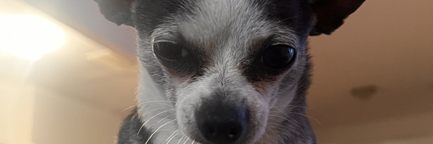 CJoshuas08's profile banner image