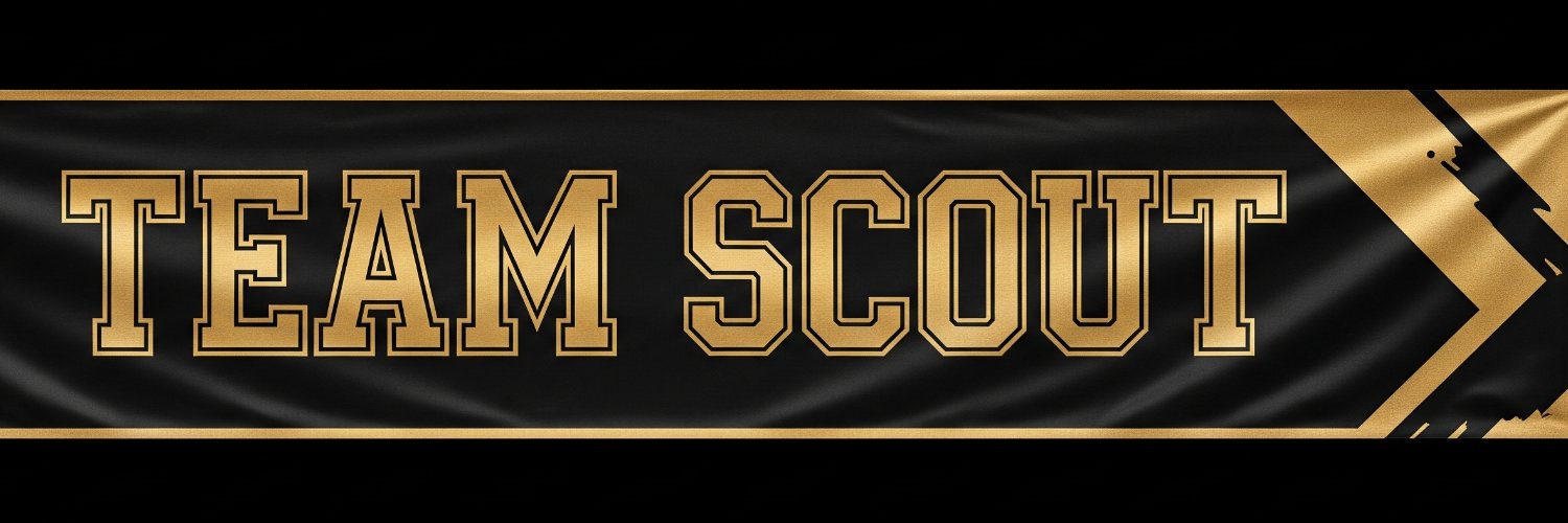 Team Scout banner