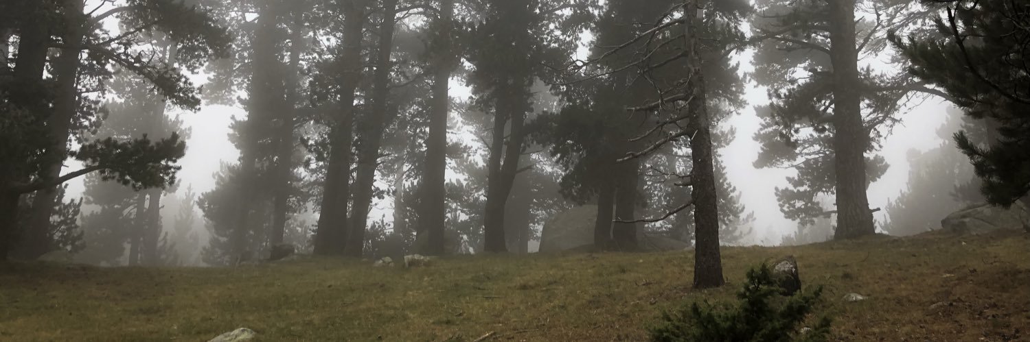 Raquel Bonell banner