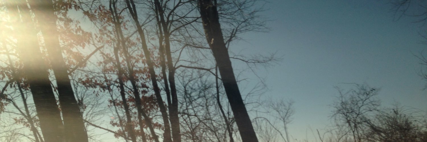 whimofthewind's profile banner image