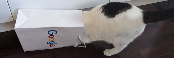 babelmonk Profile Banner