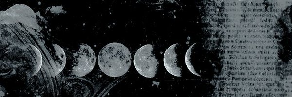 Chasing_m00n Profile Banner