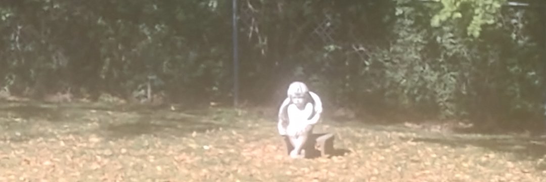 TheLastBastion banner