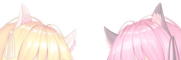 kitty banner
