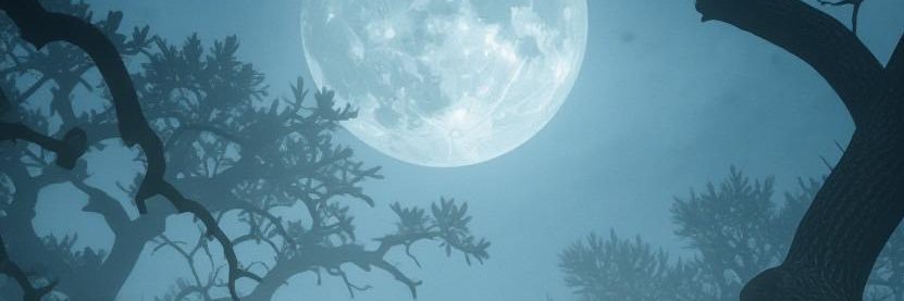 OLobo_007's profile banner image
