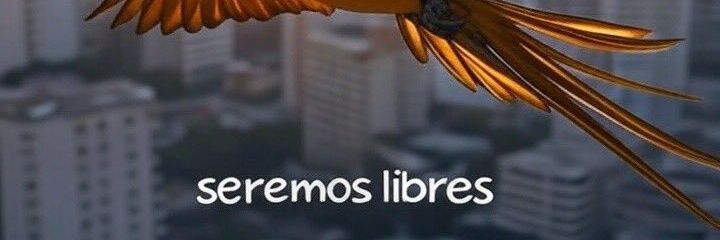 Venezuela libre banner