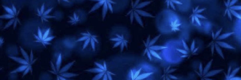 heeaveenn16's profile banner image