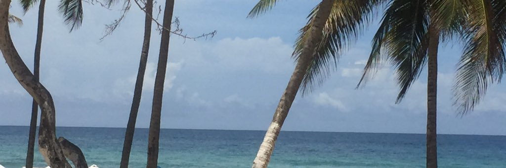 isabelamoni's profile banner image