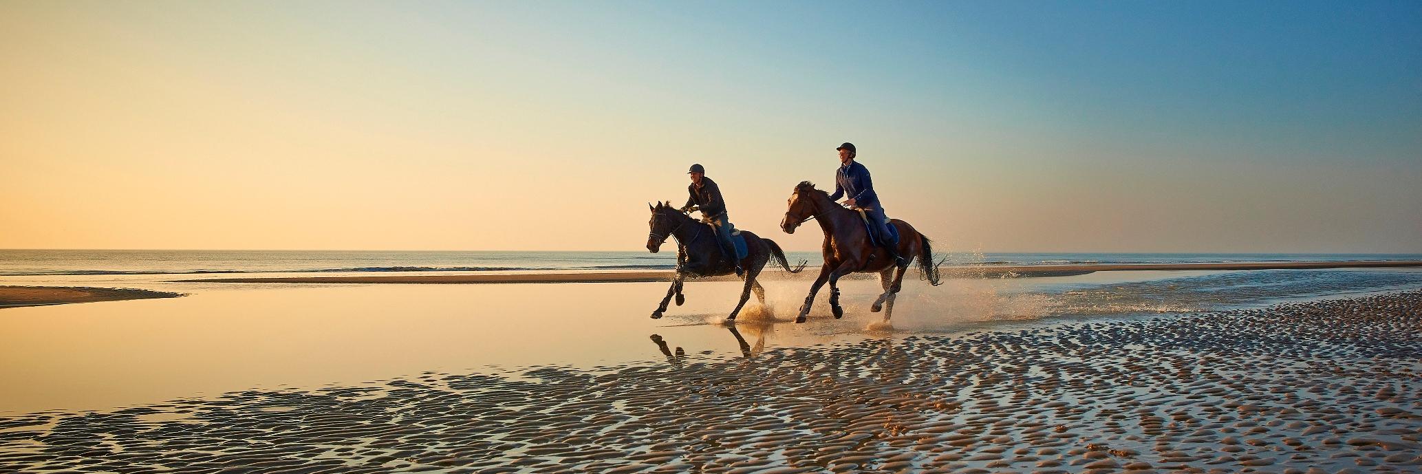 Hester de Voogd banner