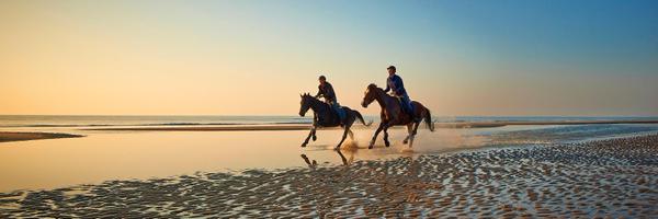 habdevoogd Profile Banner