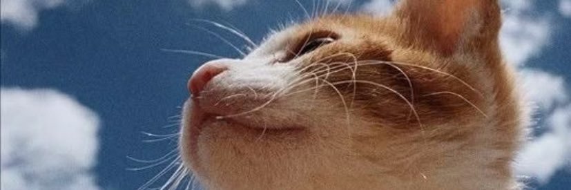 CheeeeMauro's profile banner image