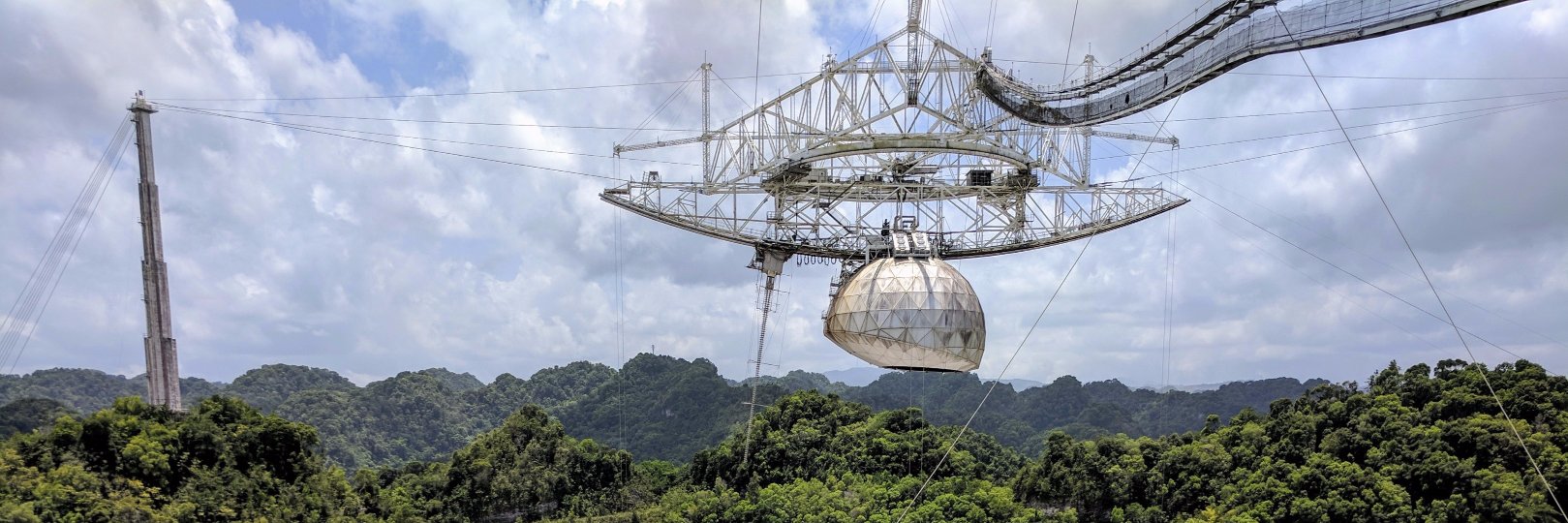 Jackie Gerstein banner