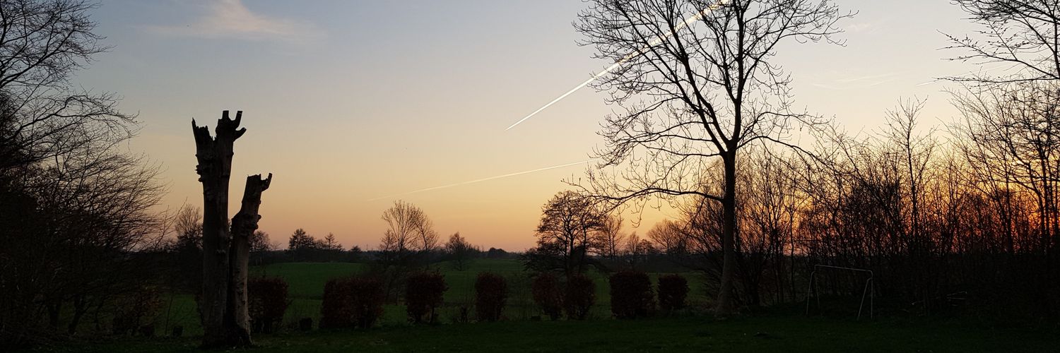 Alex McNab-Lundbäck banner