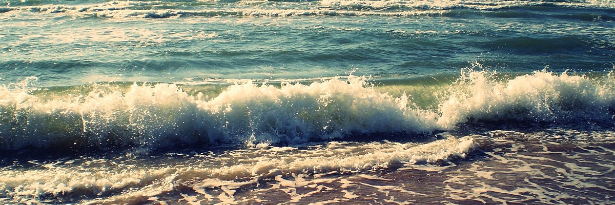 MrsPetronis's profile banner image