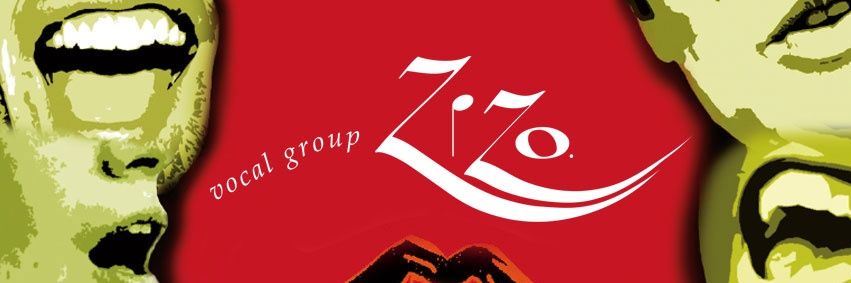 vgzizo's profile banner image