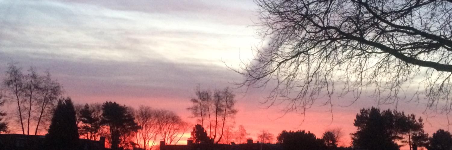 SumericanSoldier banner