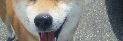 god_act's profile banner image