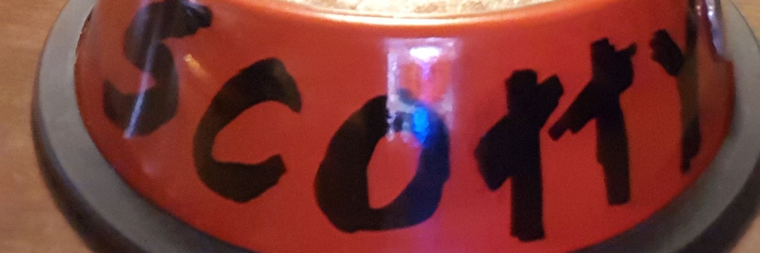 SillyScottyDog's profile banner image
