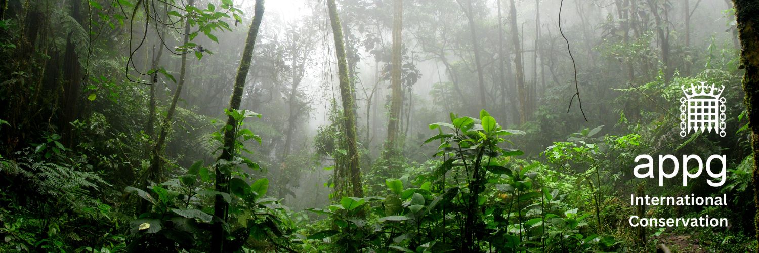 APPG International Conservation banner