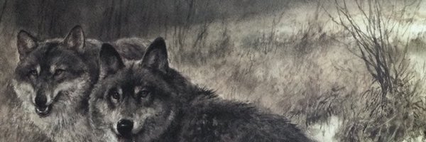 deiciveta Profile Banner