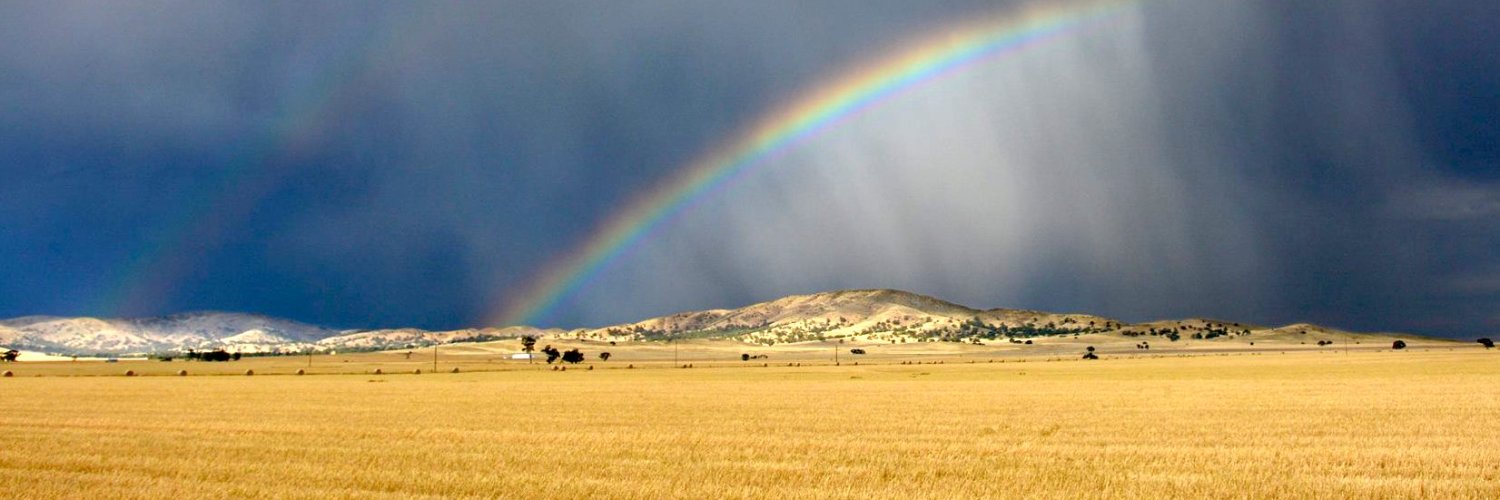queer5000's profile banner image