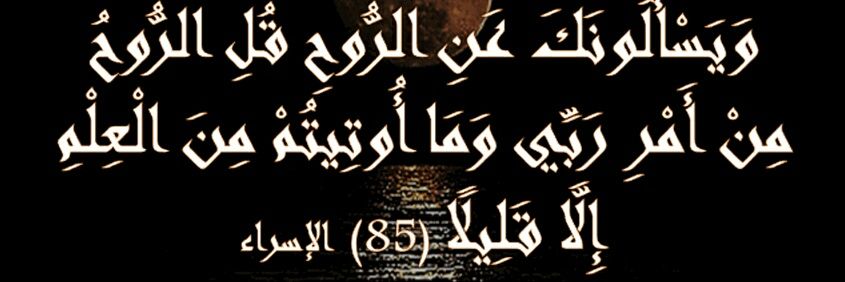 Sami_Arguez's profile banner image