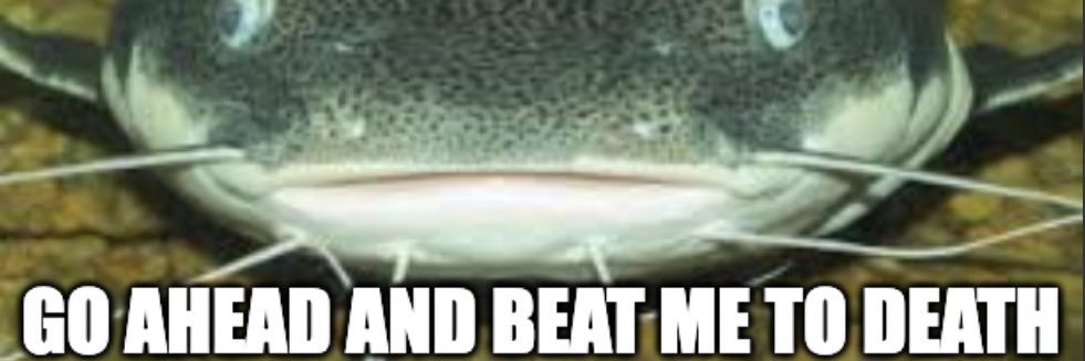Mutt Meat 🏳️‍⚧️ banner