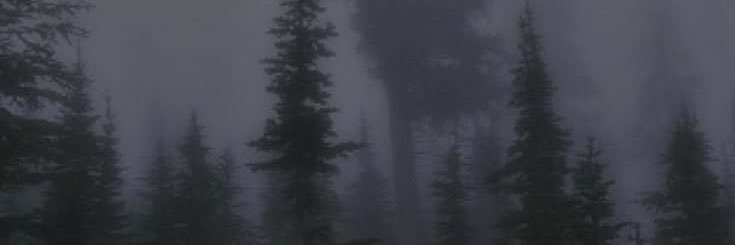 lacysbackup's profile banner image