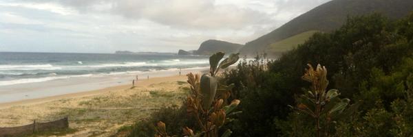 alisonpotter Profile Banner