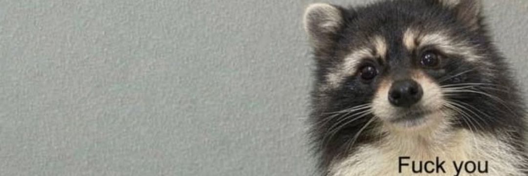 CEJVY's profile banner image