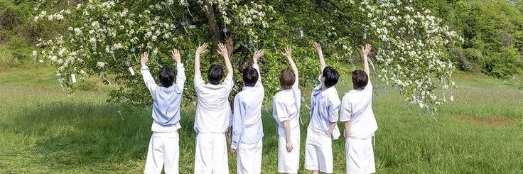Qistineeq's profile banner image