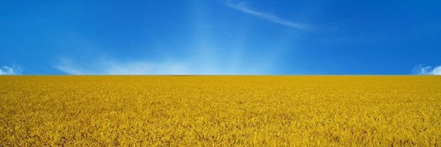 puurleven's profile banner image