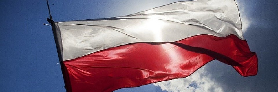 Adam Wroblevsky banner