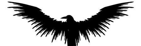 BilgeCrow banner