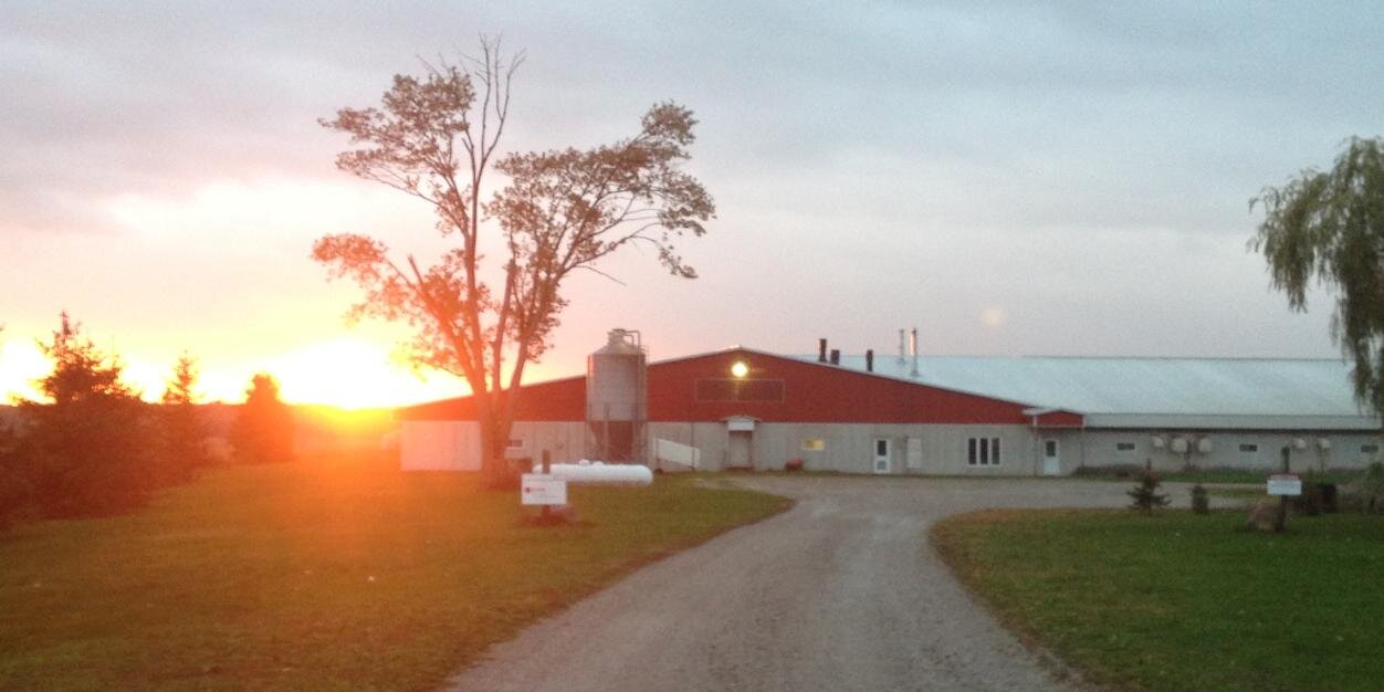 Drew De Bruyn banner