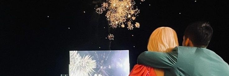 VIanaa banner