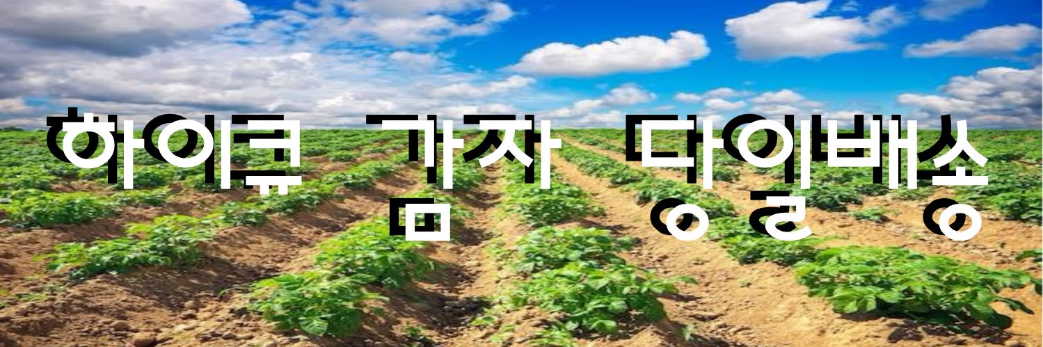 하이큐 감자 당일배송 banner