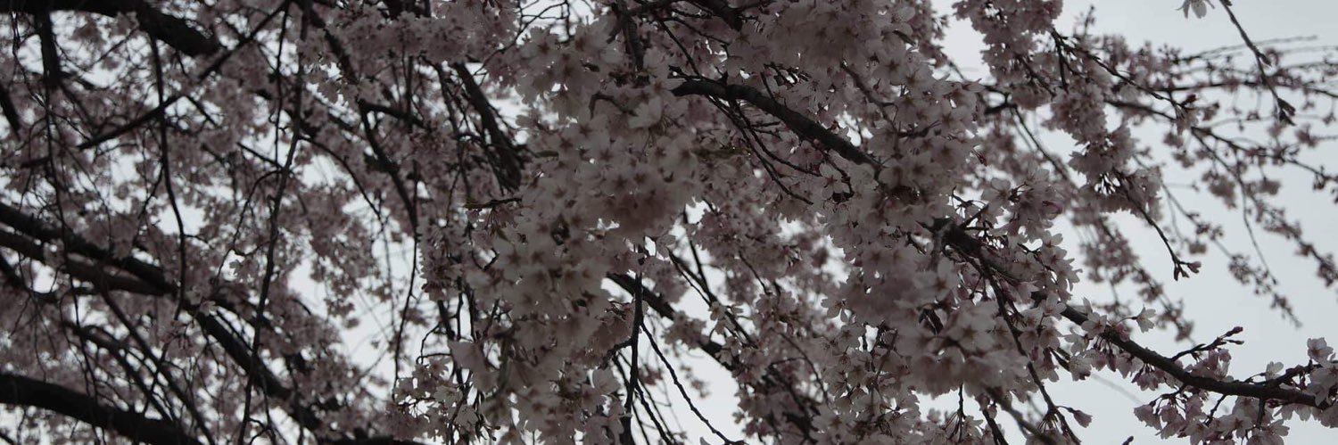jkrj717's profile banner image