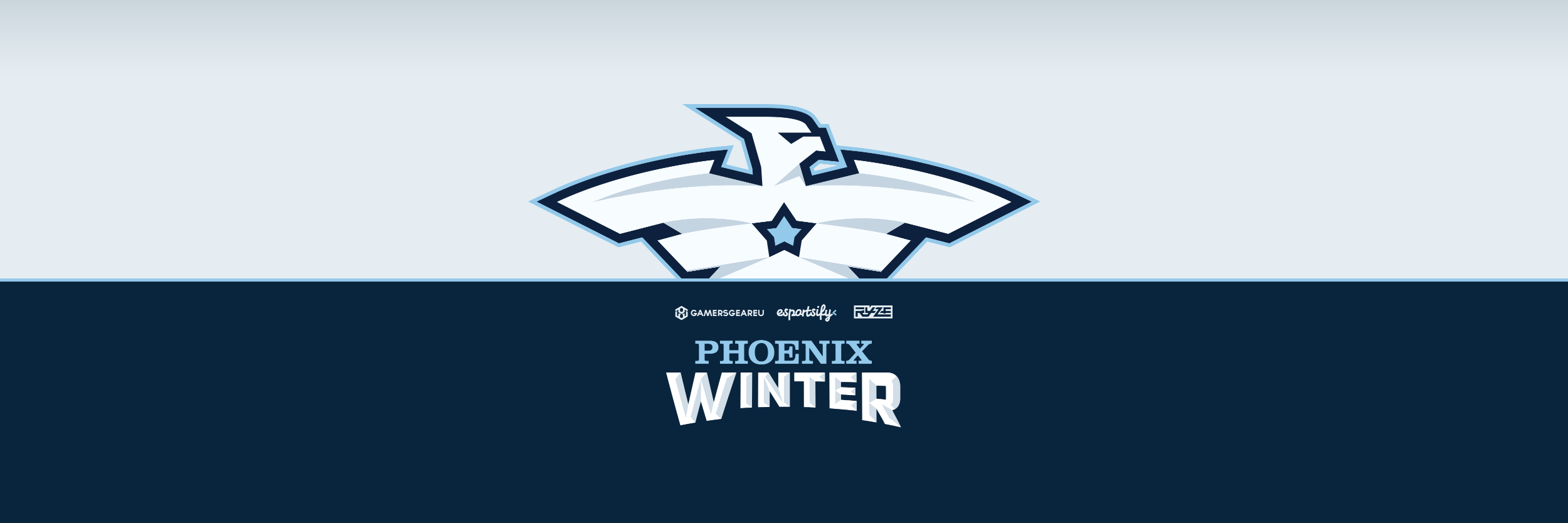Phoenix Winter banner