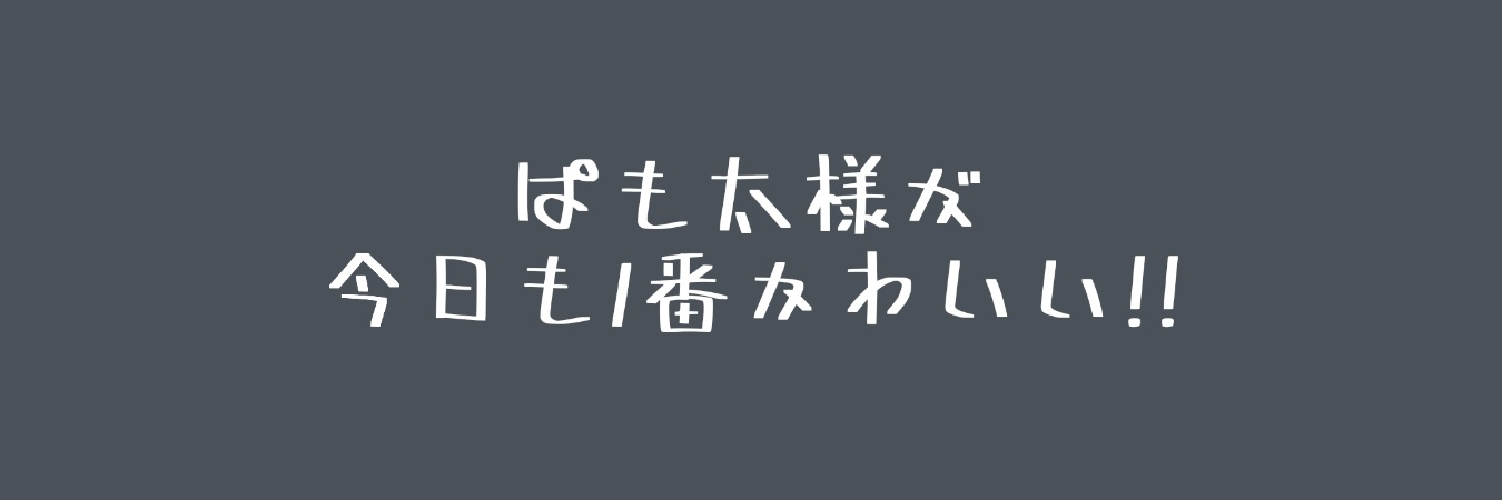mezsh14's profile banner image