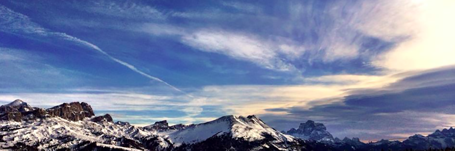 Alexandra Cooper banner