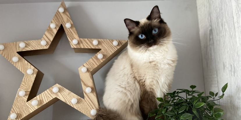 Beth xx banner