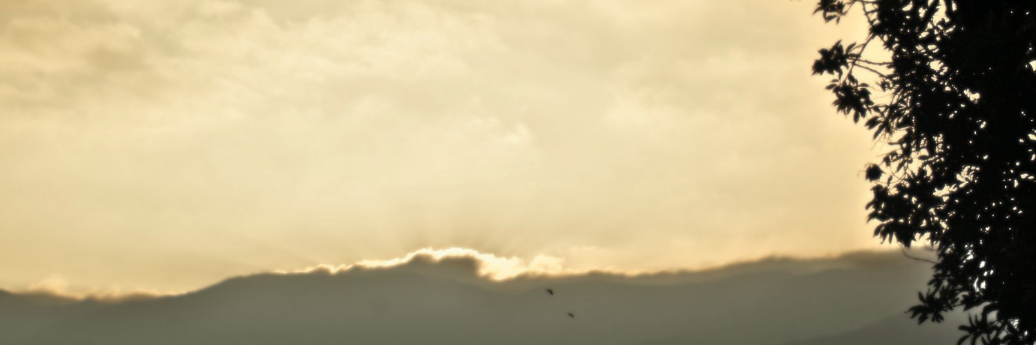 . ︶ gambler ʾʿ ⬞ banner