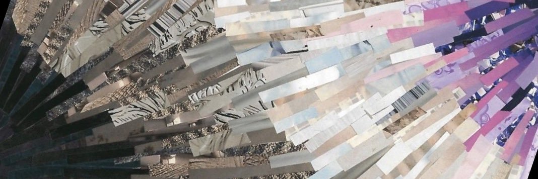 Kayse Lee Maass, PhD banner