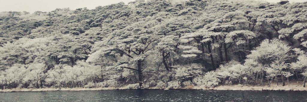 h_tane's profile banner image