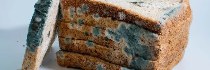 Edwin smedwin 🥪 banner